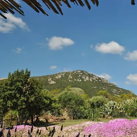 Predda Bianca Bed & Breakfast 3*