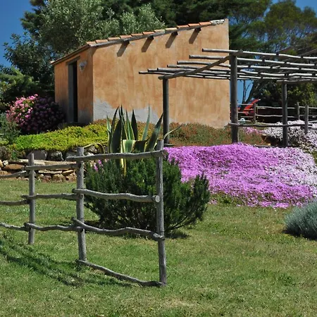 Predda Bianca Bed and breakfast Campanedda