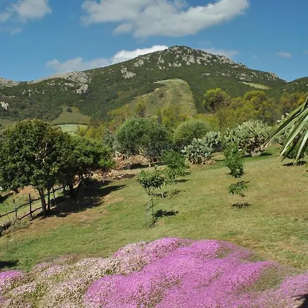 Predda Bianca Bed & Breakfast 3*