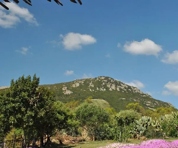 Predda Bianca Bed & Breakfast 3*