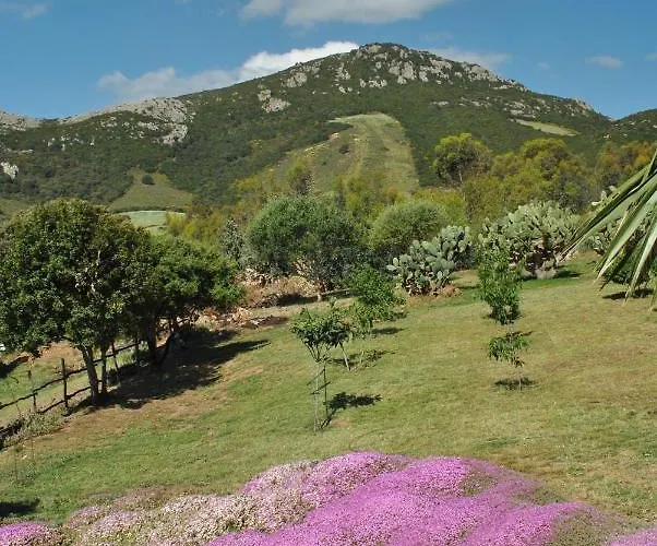 Predda Bianca Bed & Breakfast 3*