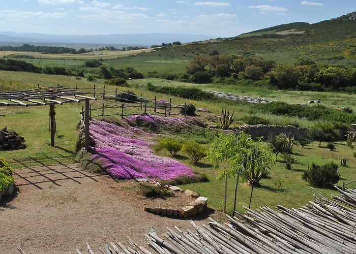 Predda Bianca Bed & Breakfast