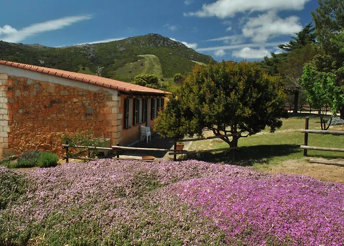 Bed & Breakfast Predda Bianca